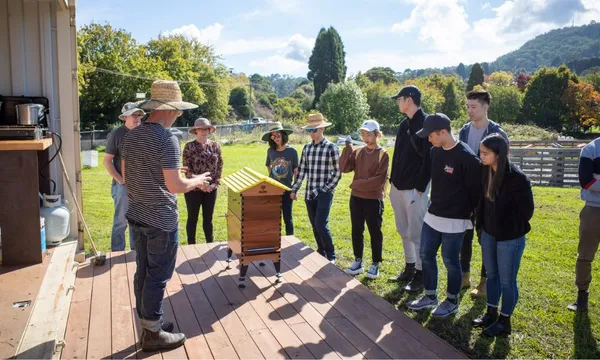 Bowral Beekeeping Tour & Tasting with Morning Tea - 2 Hours