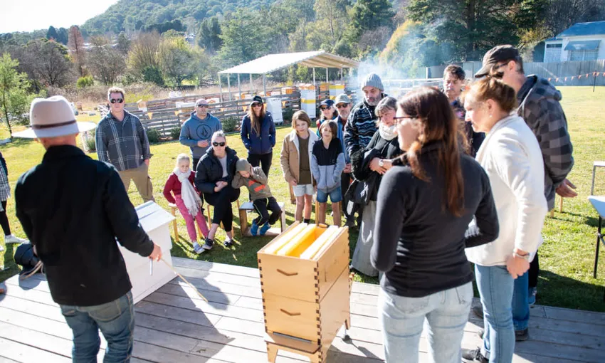 Bowral Honey Farm Tour and Tasting - 1 Hour | Experience Oz