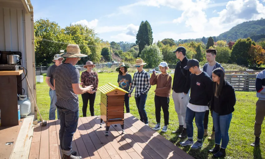 Bowral Honey Farm Tour and Tasting -  1 Hour | Experience Oz