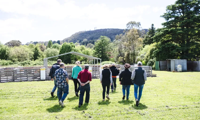 Bowral Honey Farm Tour and Tasting -  1 Hour | Experience Oz