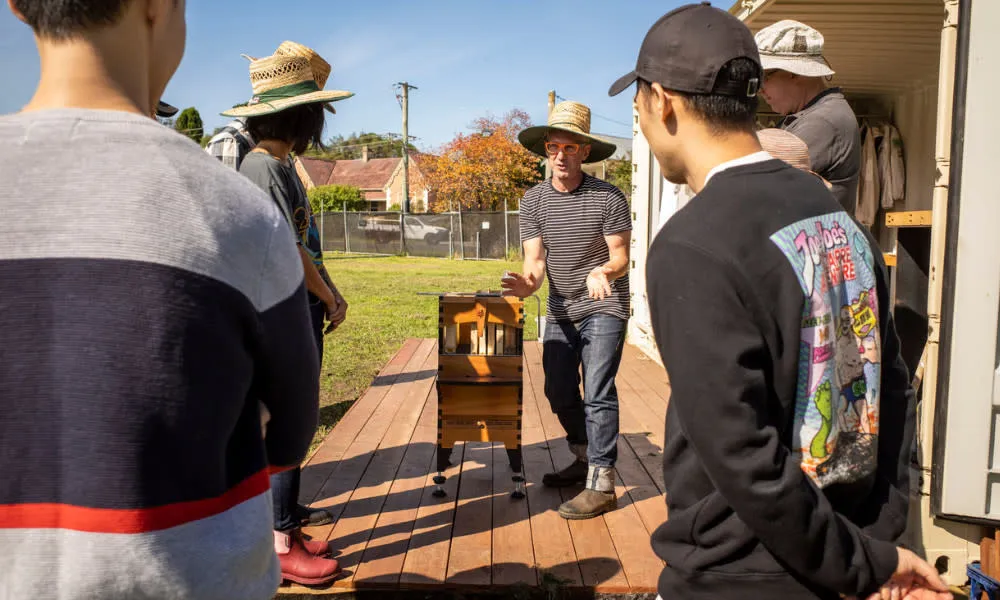 Bowral Honey Farm Tour and Tasting -  1 Hour | Experience Oz-2