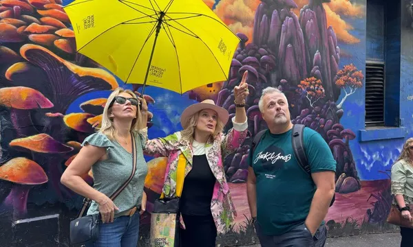 Melbourne Street Art & Laneways Walking Tour - 3 Hours
