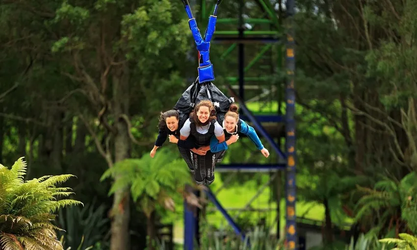 Rotorua Swoop and Plunge Swing - 15 Minutes | Experience Oz + NZ