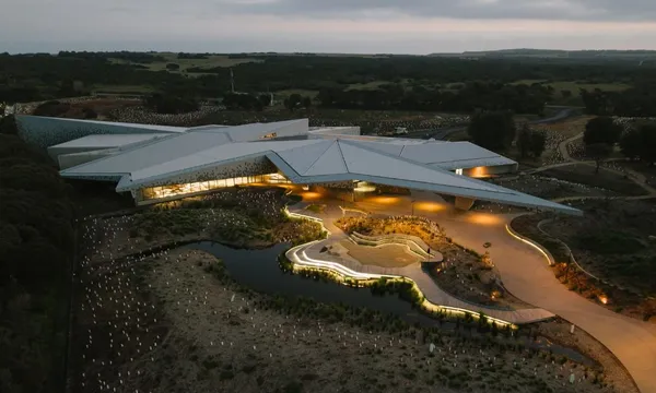 Phillip Island Premium Penguins Experience - 2 Hours