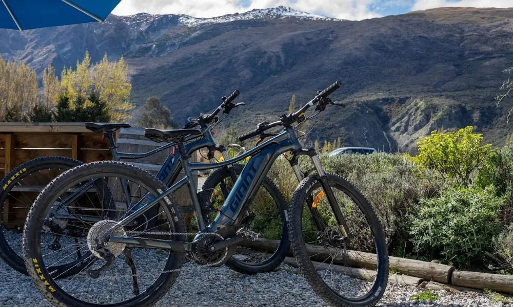 Gibbston Wineries E-Bike Tour - Full Day | Experience Oz + NZ-1