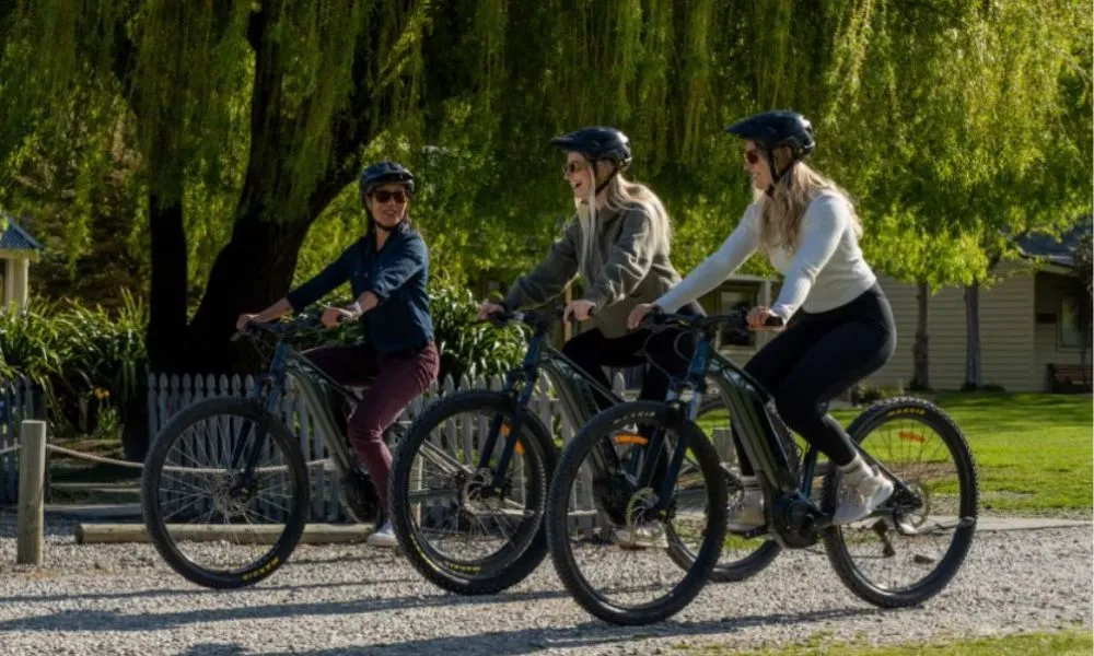 Gibbston Wineries E-Bike Tour - Full Day | Experience Oz + NZ-5
