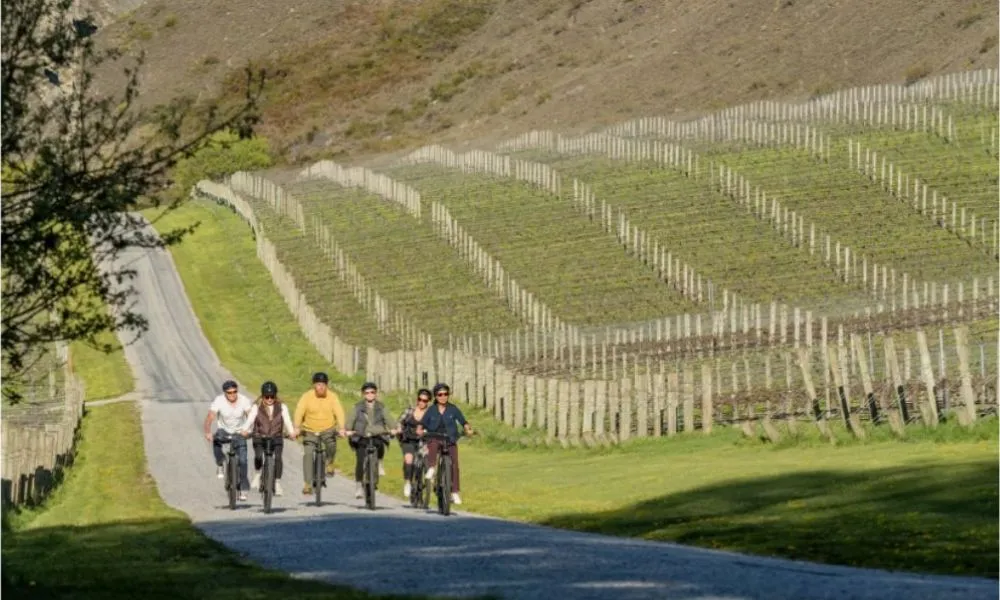 Gibbston Wineries E-Bike Tour - Full Day | Experience Oz + NZ-6