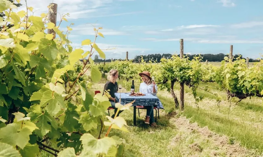 Wine Tasting, Distillery & Grazing Board - For 2 | Experience Oz