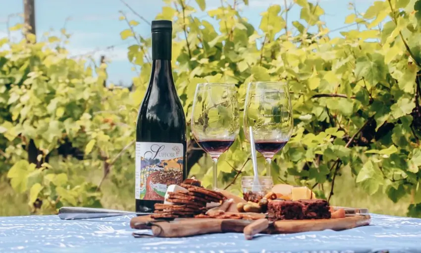 Wine Tasting, Distillery & Grazing Board - For 2 | Experience Oz