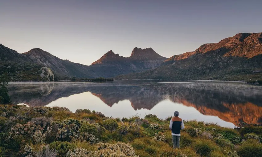 Hobart to Launceston Transfer & Cradle Mountain | Experience Oz