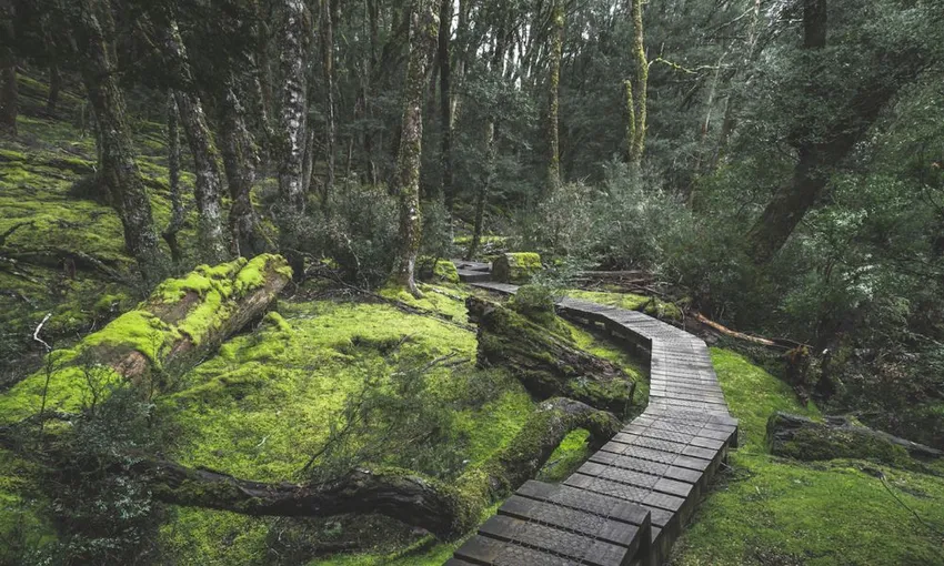 Hobart to Launceston Transfer & Cradle Mountain | Experience Oz