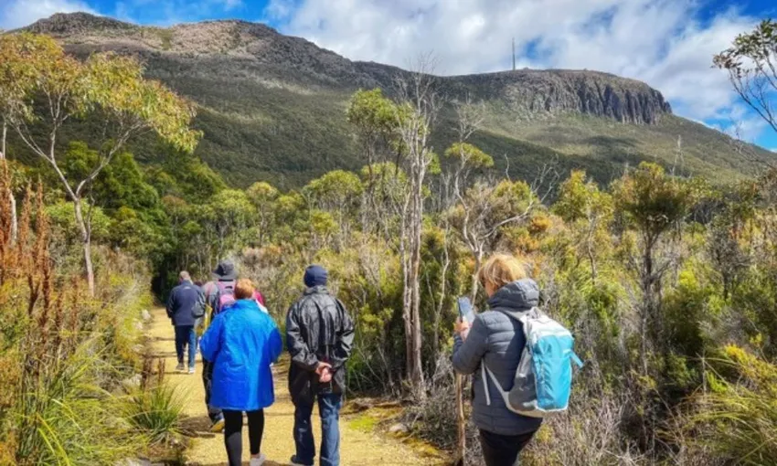 Mt Wellington Summit Tour from Hobart - 2.5 Hours | Experience Oz