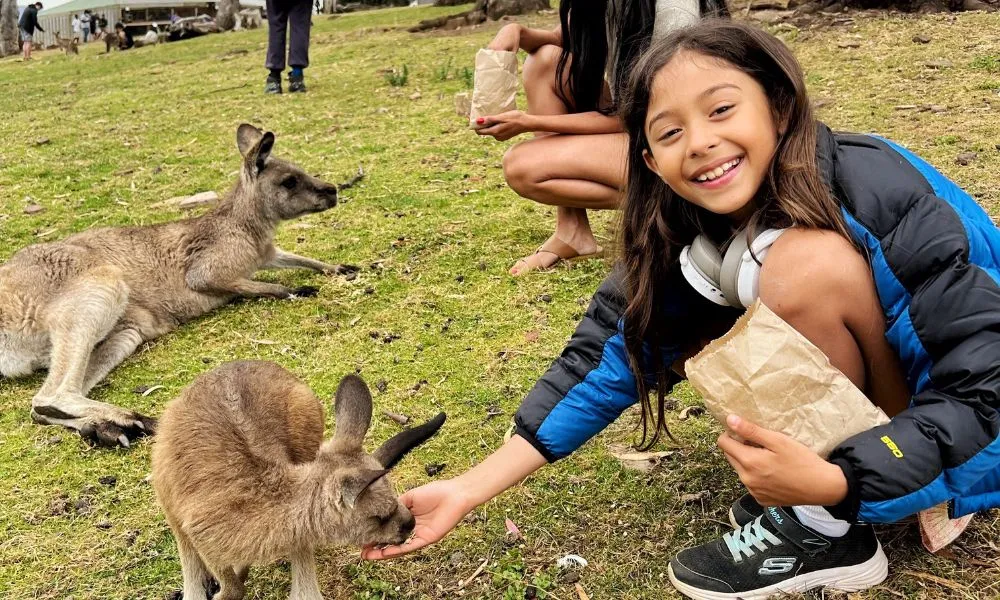 Bonorong Sanctuary & Richmond Village Tour | Experience Oz-5