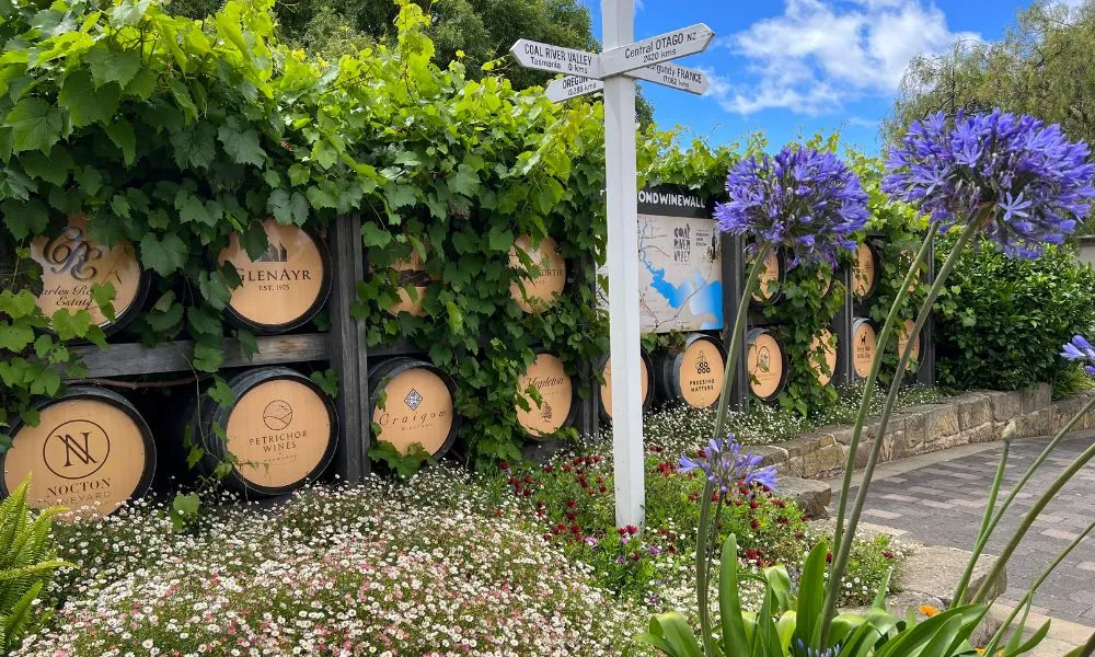 Bonorong Sanctuary & Richmond Village Tour | Experience Oz-3