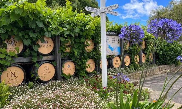 Bonorong Sanctuary & Richmond Village Tour from Hobart