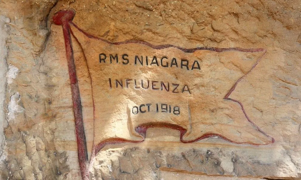 Sydney Quarantine Station Historic Tour - 1 Hour | Experience Oz-4