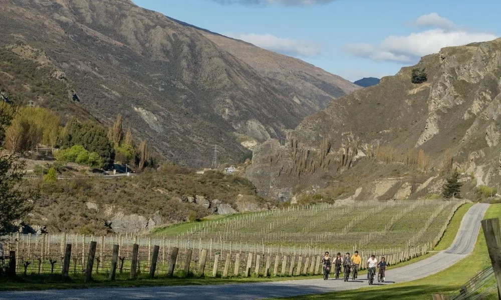 Gibbston Wineries E-Bike Tour - Half Day | Experience Oz + NZ-3