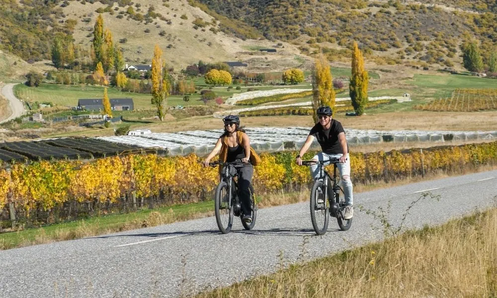 Gibbston Wineries E-Bike Tour - Half Day | Experience Oz + NZ-2