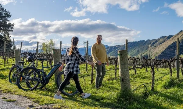 Gibbston's Wine Valley Self-Guided E-Bike Tour - Half Day