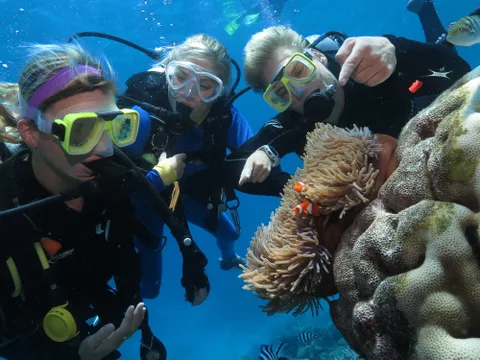 Great Barrier Reef Cruise to Quicksilver Port Douglas Pontoon