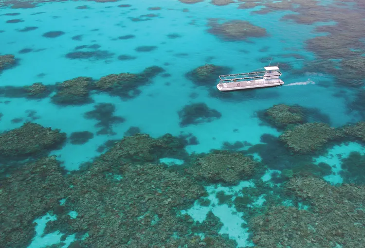 Port Douglas Outer Great Barrier Reef Cruise | Experience Oz