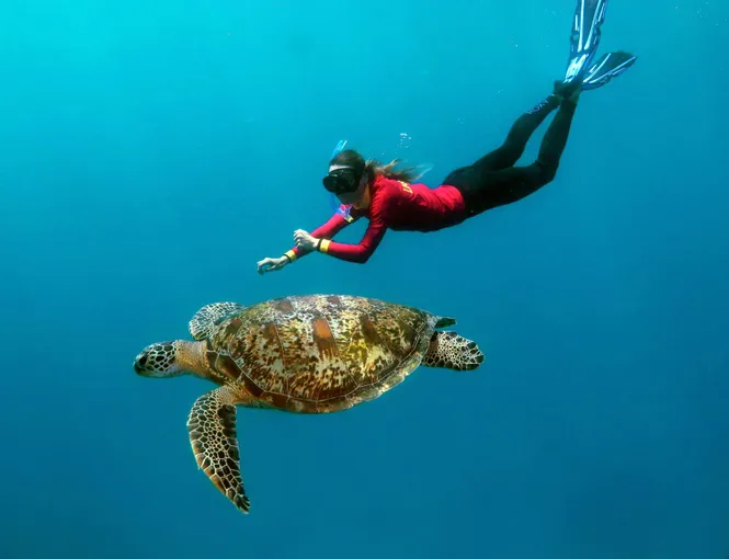Port Douglas Outer Great Barrier Reef Cruise | Experience Oz