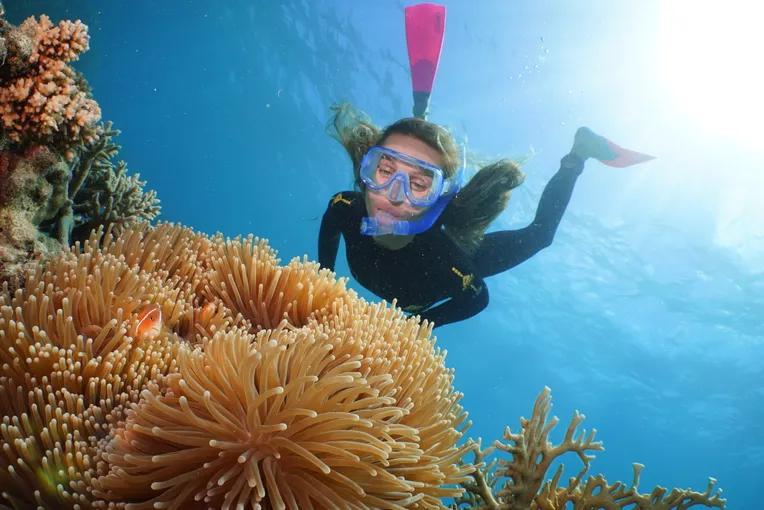 Port Douglas Outer Great Barrier Reef Cruise | Experience Oz