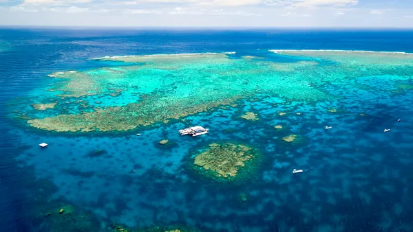 Great Barrier Reef Cruise to Quicksilver Port Douglas Pontoon