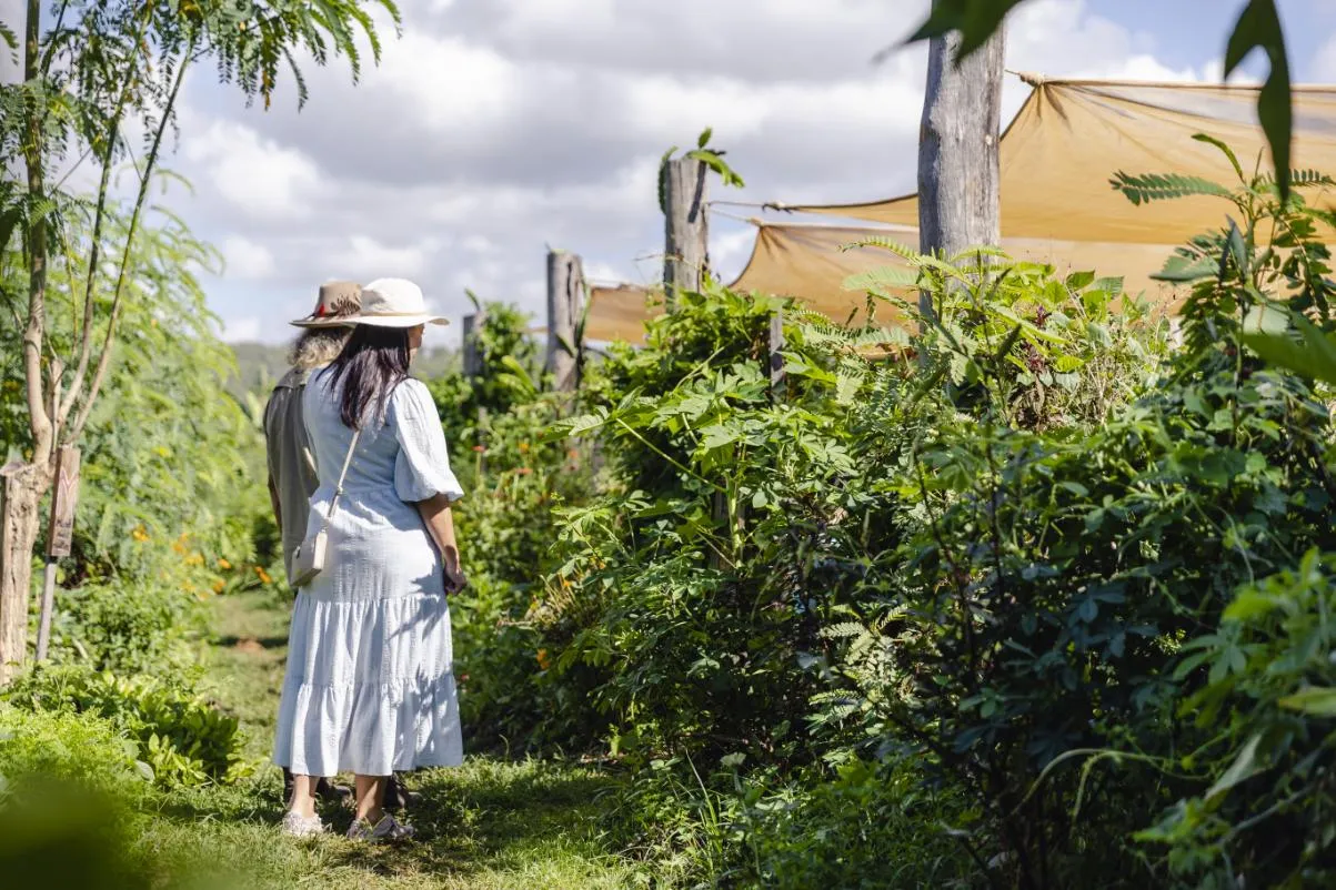 Self Guided Permaculture Farm Audio Tour | Experience Oz-2