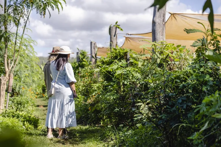 Self Guided Permaculture Farm Audio Tour | Experience Oz