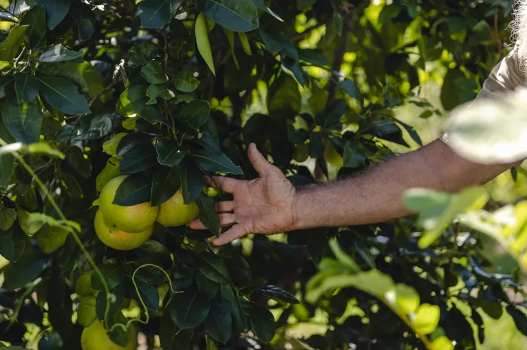 Self Guided Permaculture Farm Audio Tour | Experience Oz