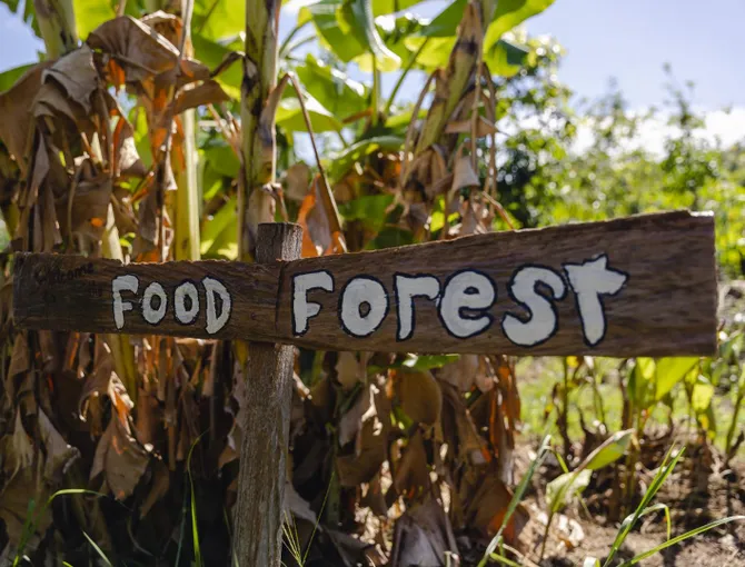 Self Guided Permaculture Farm Audio Tour | Experience Oz