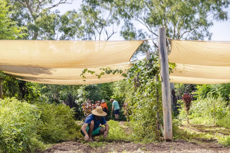 Self Guided Permaculture Farm Audio Tour | Experience Oz