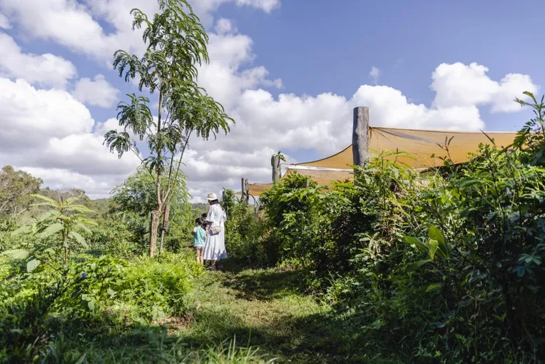 Self Guided Permaculture Farm Audio Tour | Experience Oz