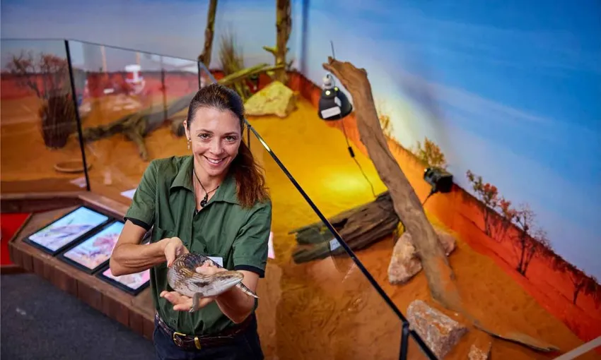 Cairns Koalas & Creatures Private Wildlife Tour | Experience Oz