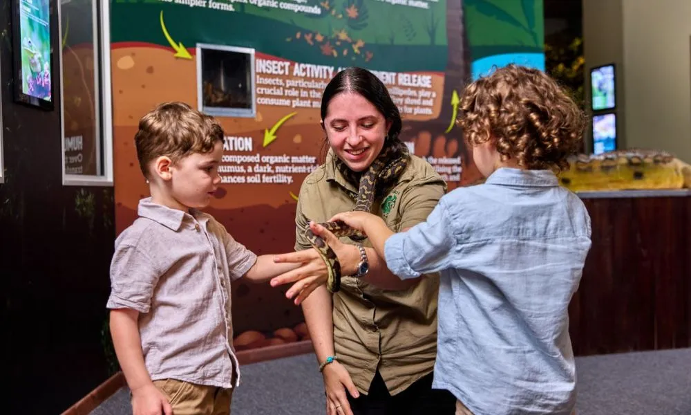 Cairns Koalas & Creatures Private Wildlife Tour | Experience Oz-5