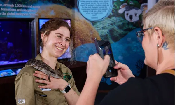 Cairns Koalas & Creatures Private Wildlife Tour - 1 Hour