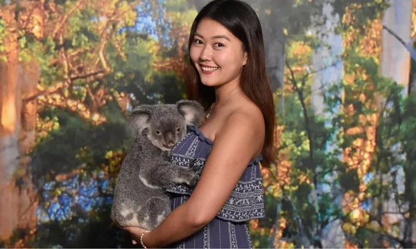 Cairns Koalas & Creatures Private Wildlife Tour - 1 Hour