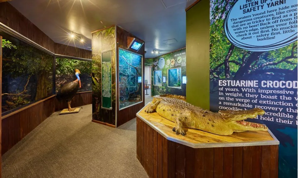 Cairns Koalas & Creatures Private Wildlife Tour | Experience Oz-3