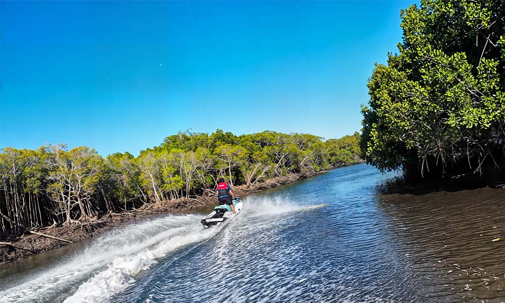 Trinity Inlet Jetski River Tour, 1 Hour - Cairns