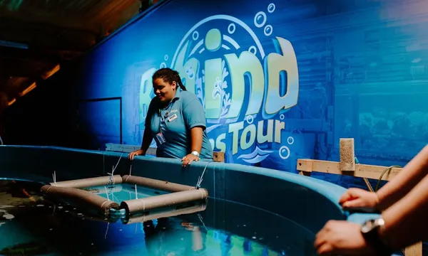 SEA LIFE Sunshine Coast Behind the Scenes Tour