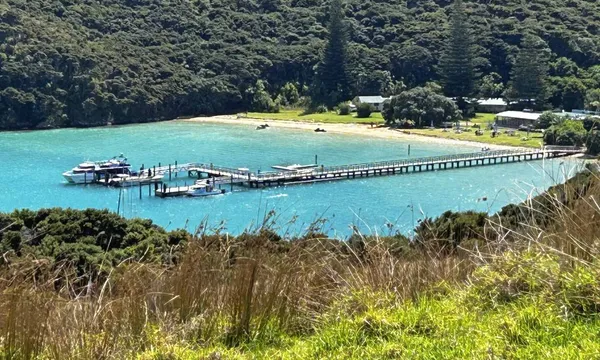 Urupukapuka Island Guided Walking Tour - 1 Hour