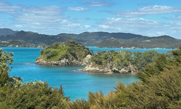 Urupukapuka Island Guided Walking Tour - 1 Hour