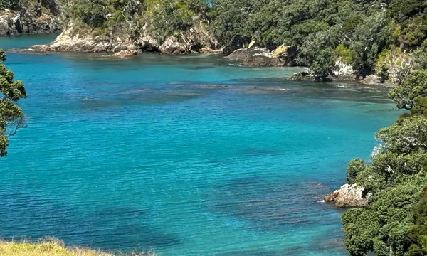 Urupukapuka Island Guided Walking Tour - 1 Hour