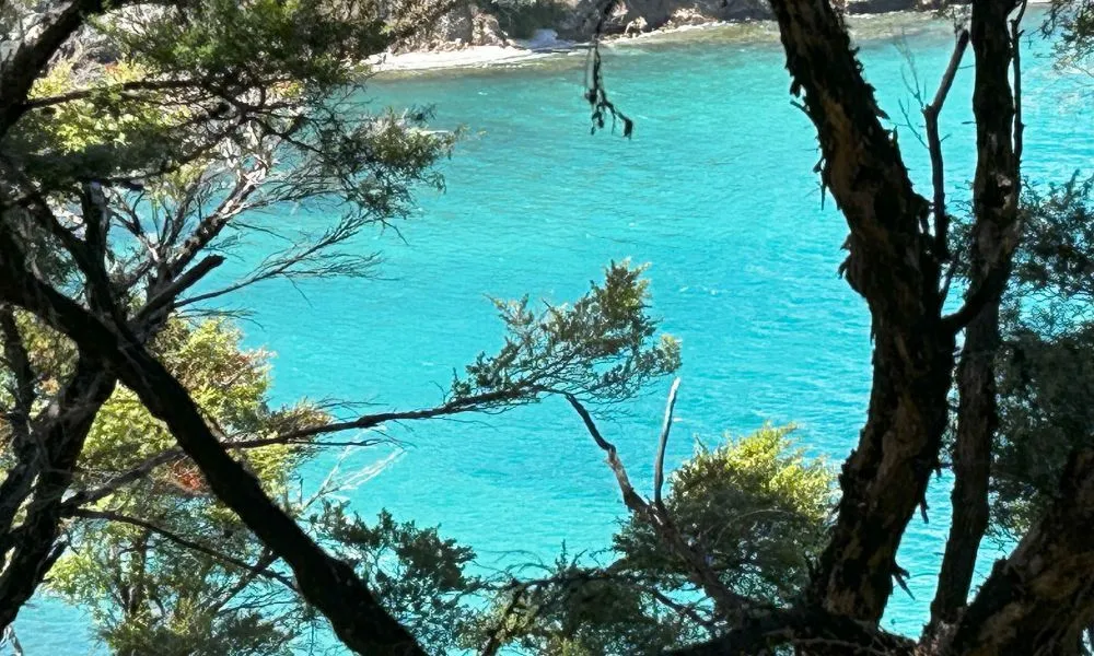 Bay of Islands Guided Walking Tour - 1 Hour | Experience Oz + NZ-5