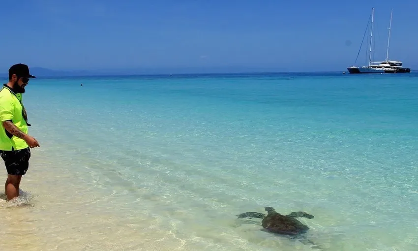 Low Isles Sailing Cruise from Port Douglas | Experience Oz