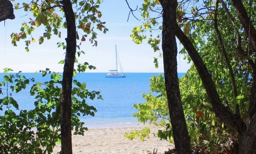 Low Isles Sailing Cruise from Port Douglas | Experience Oz
