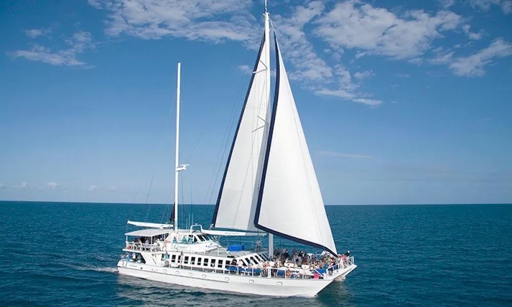 Low Isles Sailing Cruise from Port Douglas | Experience Oz-6