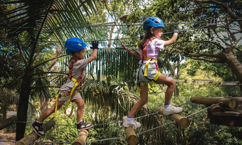 Nowra Park Treetop Adventure Course for Juniors | Experience Oz