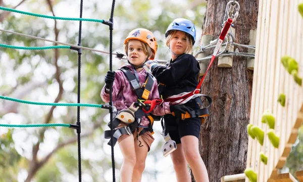 Nowra Park Treetop Adventure Course for Juniors